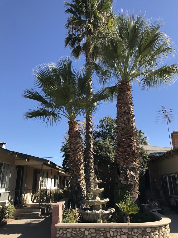 Elsinore Hotsprings Motel Lake Elsinore Kültér fotó